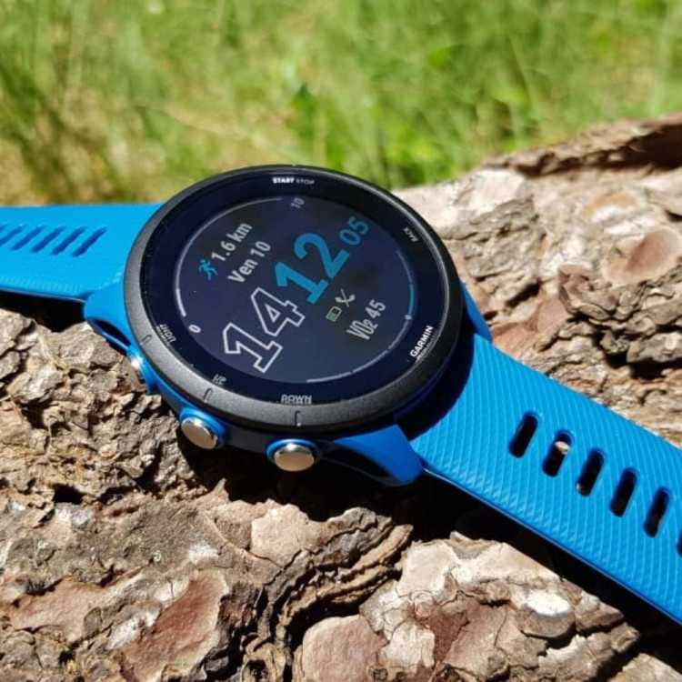 Garmin Forerunner 255 GPS Watch - Tidal Blue for sale online